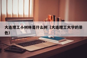 大连理工小树林是什么树（大连理工大学的景色）