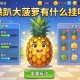 可用版本“拱趴大菠萝有什么挂吗”详细开挂玩法