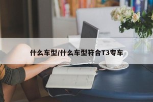 什么车型/什么车型符合T3专车