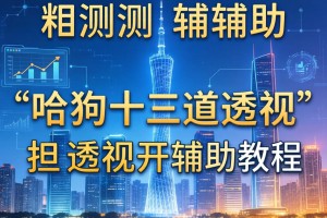实测辅助“哈狗十三道透视”透视开挂辅助教程