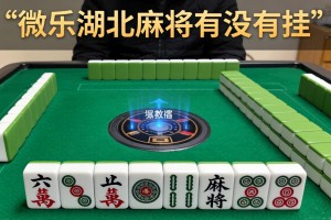 推荐一款“微乐湖北麻将有没有挂”开挂详细教程