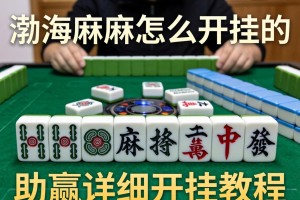 教程辅助!渤海麻将怎么开挂的”(助赢详细开挂教程)