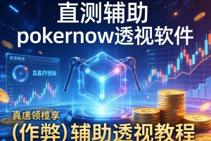 实测辅助“pokernow透视软件”(作弊)辅助透视教程