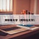 博特那大学（博特垃大学）