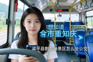 想知道-重庆市 从梁平县到龙缸景区怎么坐公交？