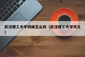 武汉理工大学何峰怎么样（武汉理工大学何凡）