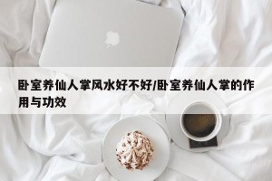 卧室养仙人掌风水好不好/卧室养仙人掌的作用与功效