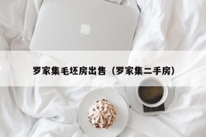 罗家集毛坯房出售（罗家集二手房）