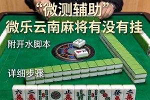 实测辅助“微乐云南麻将有没有挂”附开挂脚本详细步骤