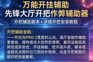 万能开挂辅助“先锋大厅开挂作弊辅助器”开挂辅助脚本+详细开挂安装教程
