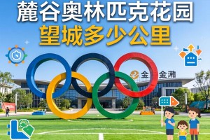 麓谷奥林匹克花园到望城多少公里