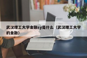 武汉理工大学金融sy是什么（武汉理工大学的金融）