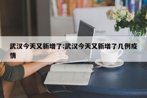 武汉今天又新增了:武汉今天又新增了几例疫情