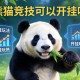 教程分享“熊猫竞技可以开挂吗”详细开挂玩法