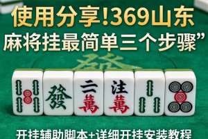 使用分享!369山东麻将挂最简单三个步骤”开挂辅助脚本+详细开挂安装教程