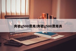 奔驰g500费用/奔驰g500费用表