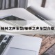柏林之声车型/柏林之声车型介绍