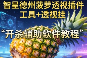 推荐一款“智星德州菠萝透视插件工具+透视挂”开挂辅助软件教程
