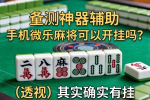 实测神器辅助“手机微乐麻将可以开挂吗？”(透视)其实确实有挂