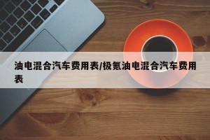 油电混合汽车费用表/极氪油电混合汽车费用表
