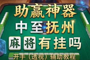 助赢神器“中至抚州麻将有挂吗”开挂(透视)辅助教程