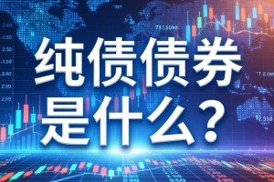 纯债债券是什么意思？