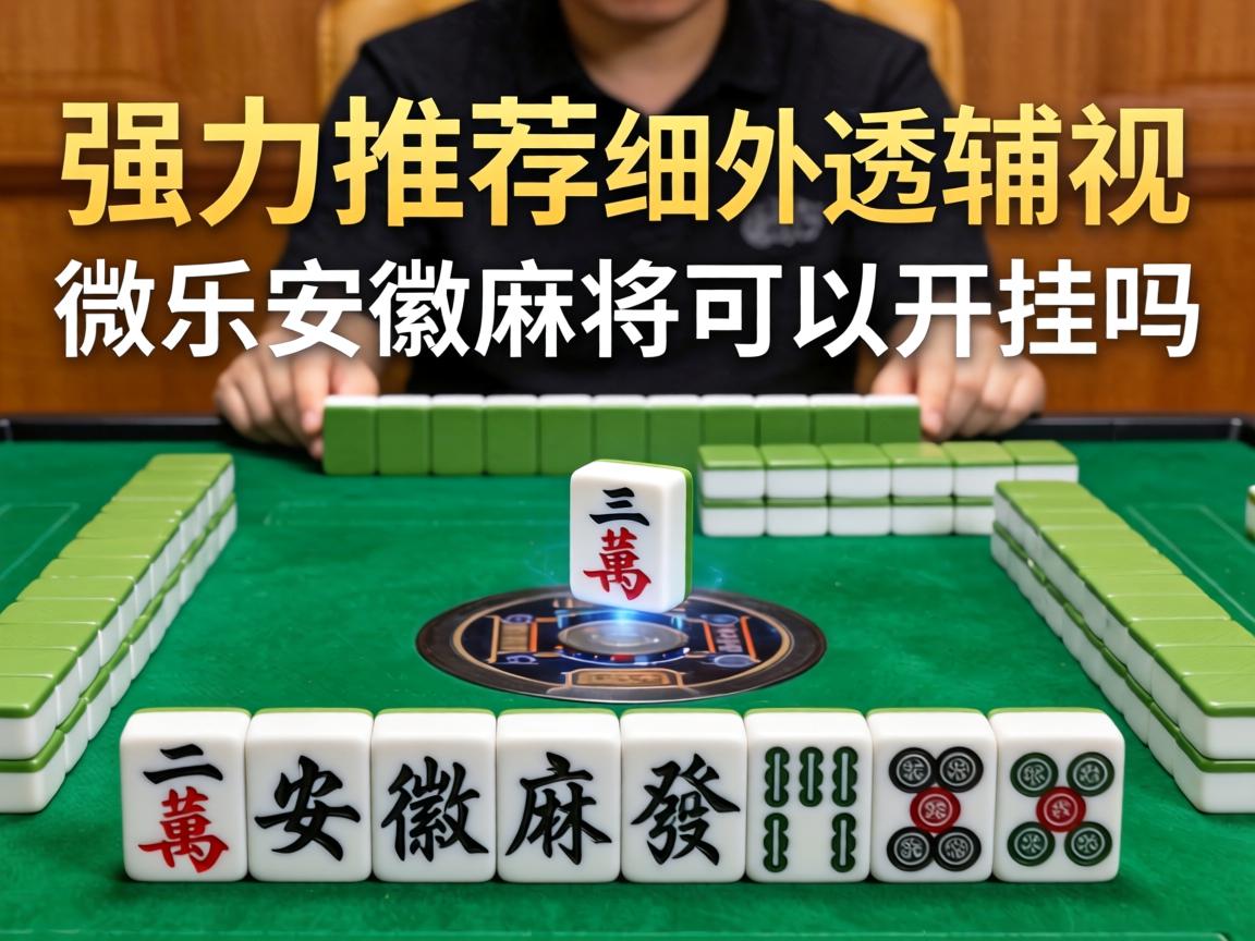 详细外挂透视辅助软件教程